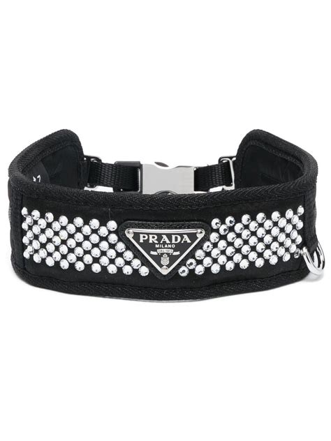 prada dog bowl|farfetch prada dog collars.